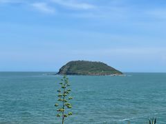 -漳州滨海火山岛自然生态风景区