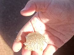 -青岛海泉湾度假区温泉