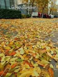 -Oasis Beauty水磨坊科技美肤中心