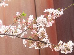 -龙美术馆(西岸馆)