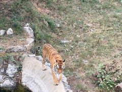 -石家庄市动物园