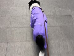 -朱家尖蜈蚣峙码头