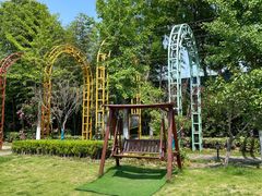 -金山农民画村-枫泾波兰倒置屋