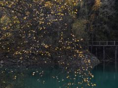 -叠溪松坪沟景区