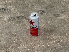 -库塔海滩