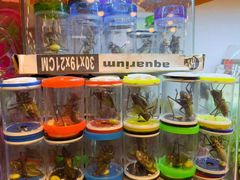 -双季花艺园艺市场(浦东店)