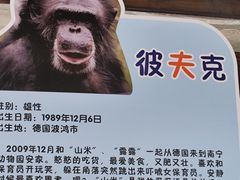 -南宁市动物园