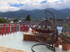 -喵屿·大理花园猫咖