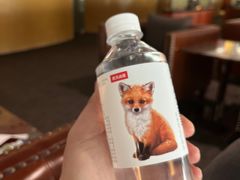 -首都机场t3-c国航两舱休息室