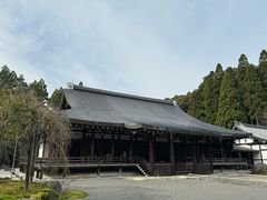 -西芳寺(苔寺)