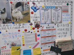 -稻荷日麻社