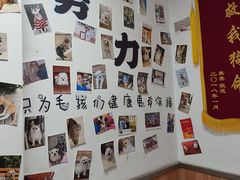 -宠福鑫动物医院(城北分院)