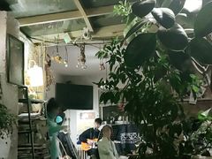 -西西这里民谣酒馆