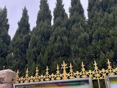 -青岛格兰德小学