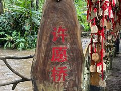 -莫里热带雨林景区