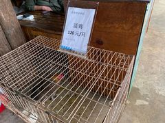 -云南野生动物园