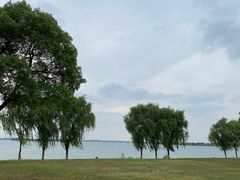 -漕湖湿地公园