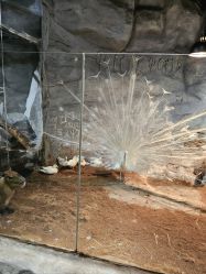 -Zoolung Zoolung动物主题公园(海信广场店)