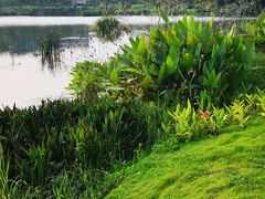 -枫香湖儿童公园