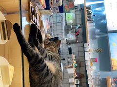 -猫的天空之城概念书店(杭州南宋御街店)