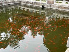 -国家植物园