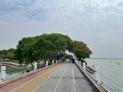 -贡湖湾湿地公园