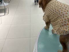 -怪兽屋·羊驼·猫咖·狗咖(俊华广场店)