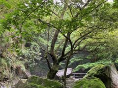 -宁波五龙潭景区