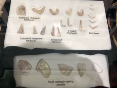 -北马里亚纳群岛博物馆