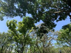 -荔枝公园-小平画像广场