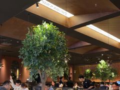 -同仁四季椰子鸡(宝安壹方城店)