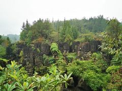 -梭布垭石林景区