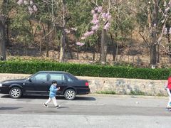 -十三陵水库