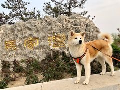 -马家湾湿地公园