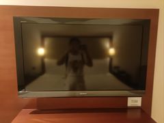 -香港皇家太平洋酒店