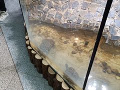 -上海大自然野生昆虫馆(东方明珠·爬宠昆虫探索中心)