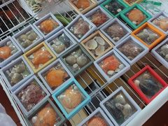 -蓝湾碧波·老字号·疍家非遗海上餐厅