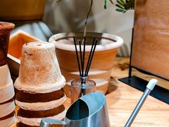 -自由生长植物工作室(深港花卉中心店)
