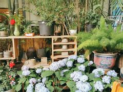 -时光花园(白鹭洲店)