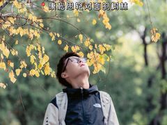 -罗布林卡