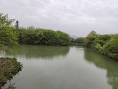 -西溪国家湿地公园