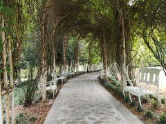 -合肥滨湖国家森林公园