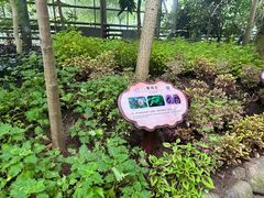 -南山植物园