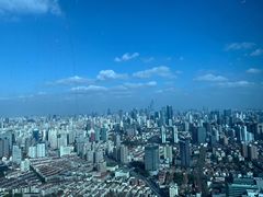 -上海龙之梦万丽酒店