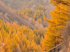 -苏木山森林公园