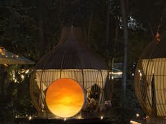 -二荆条·蜀鲜汇城市森林火锅