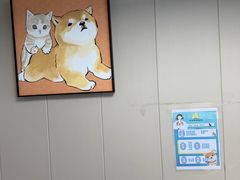 -半岛宠物医院24小时·内窥镜·牙科·碎石中心(府城大道店)