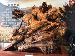 -陕西自然博物馆