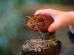 -慈观山房(南郊公园店)