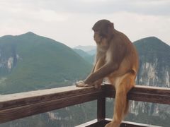 -重庆云阳龙缸景区